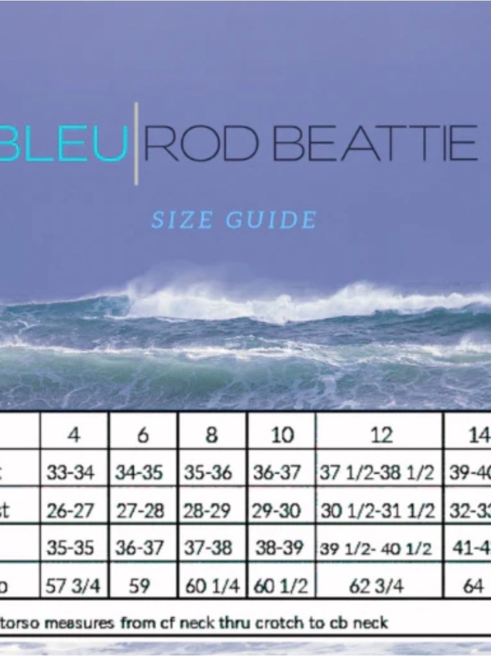 Bleu Rod Beattie Black Deep V One-Piece Swimsuit - Picture 4 of 7